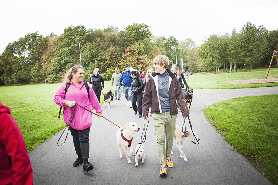 Hundcoachning på Dalhem i oktober